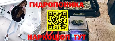 молекула духа Ливны